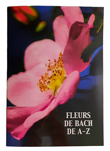 Bach van A tot Z boekje FR